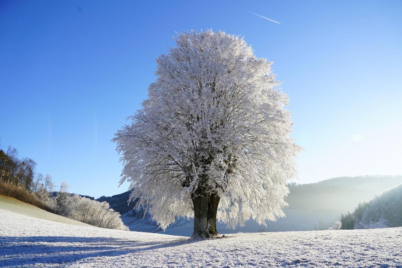 Four Seasons 