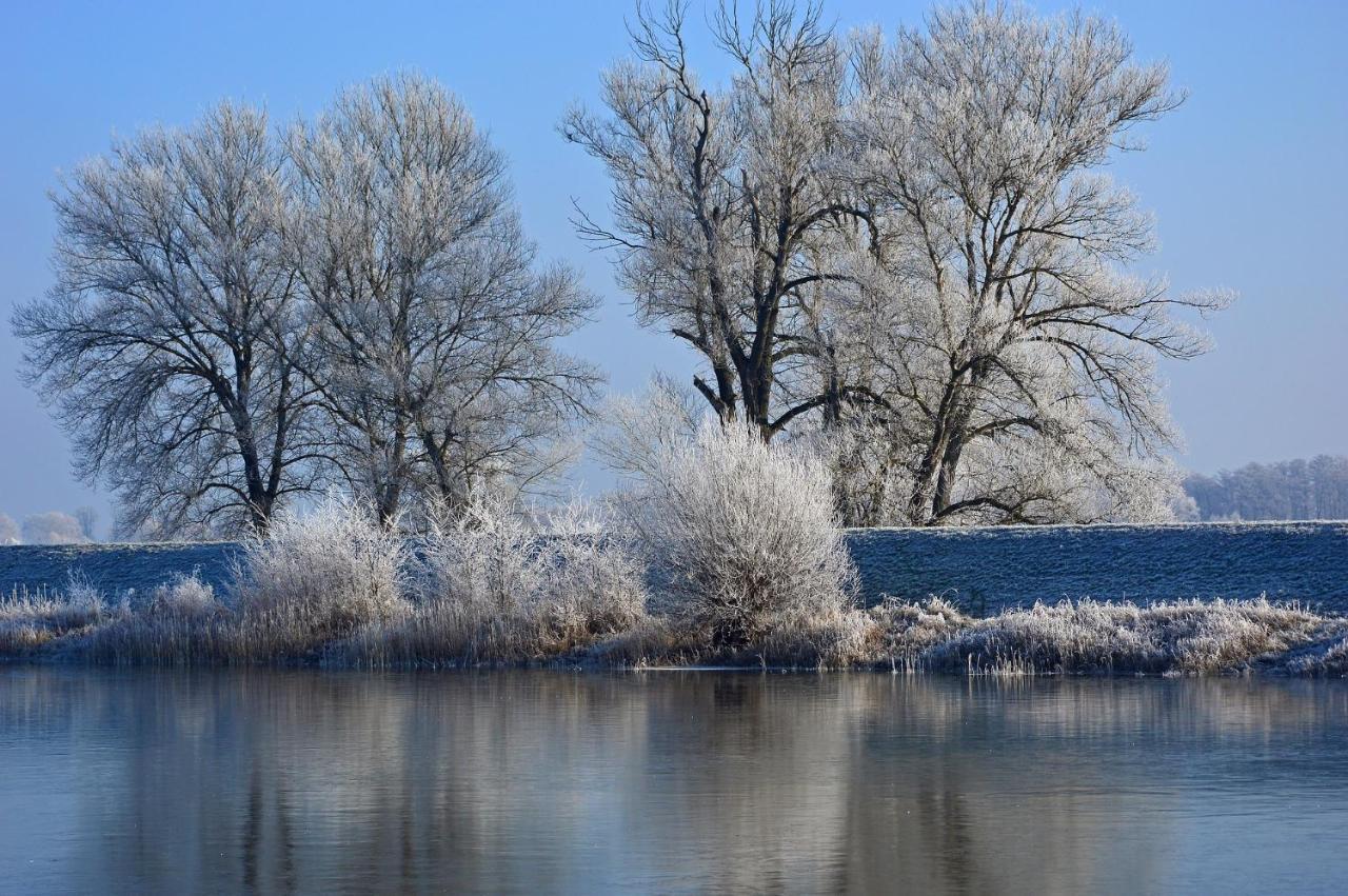 Four Seasons 
